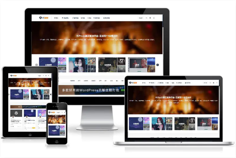 WP主题ripro9.0修正升级版 WP两款美化包 稀有插件-1 WP主题ripro9.0修正升级版 WP两款美化包 稀有插件-1