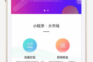 微信小程序开发代理展示销售pbootcms网站模板 软件开发公司网站源码(PC+WAP)下载