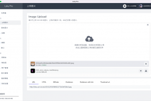 Lsky Pro 企业版兰空图床程序网站PHP源码