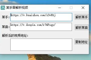 某音某手解析视频链接去水印工具