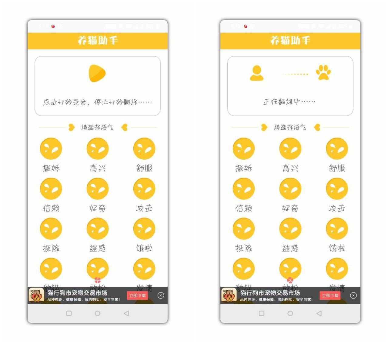 养猫助手一款好玩的宠物app-1