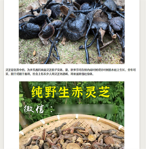 做网站，还是大有可为！-2