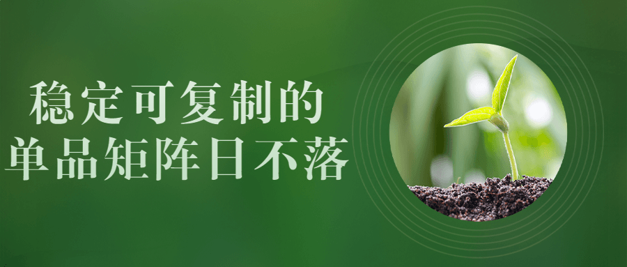 稳定可复制的单品矩阵日不落-1