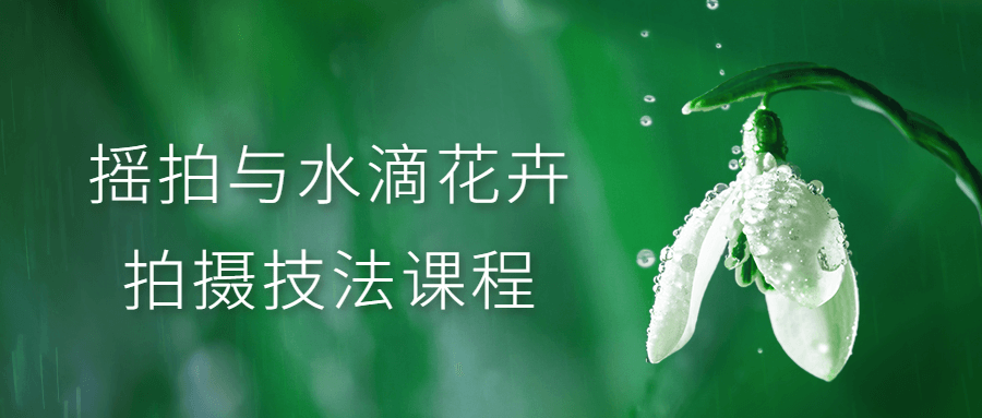 摇拍与水滴花卉拍摄技法课程-1