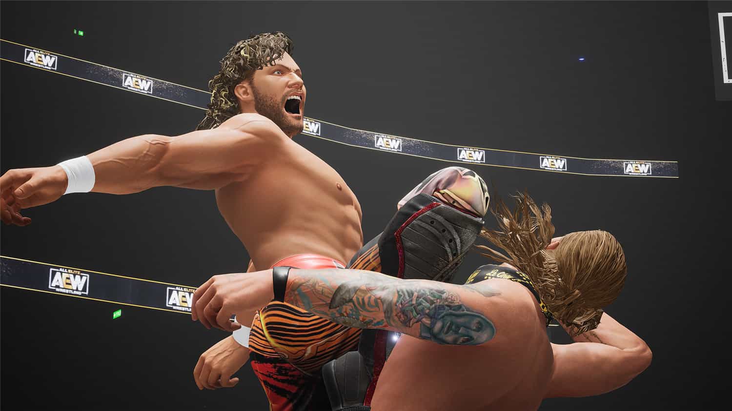 全精英摔角：永远的战斗/AEW: Fight Forever