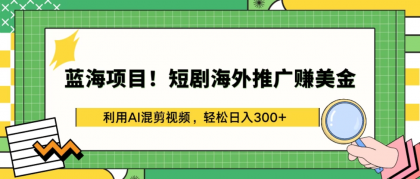 蓝海项目/短剧海外赚美金/利用AI剪视频/日入300+-免费资源网-第16张图片 蓝海项目/短剧海外赚美金/利用AI剪视频/日入300+-免费资源网-第16张图片
