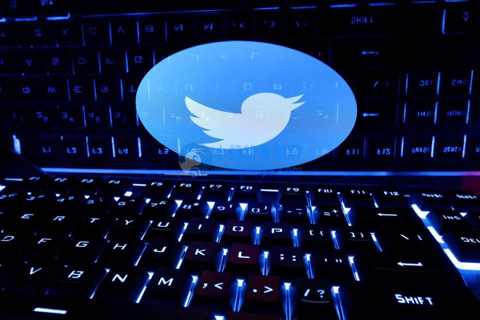 大量 Twitter 用户出现链接中断问题，马斯克回应