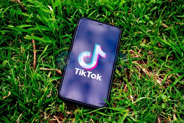 路透社报告：传统媒体新闻信任度降低，更多人转向 TikTok 等社交平台