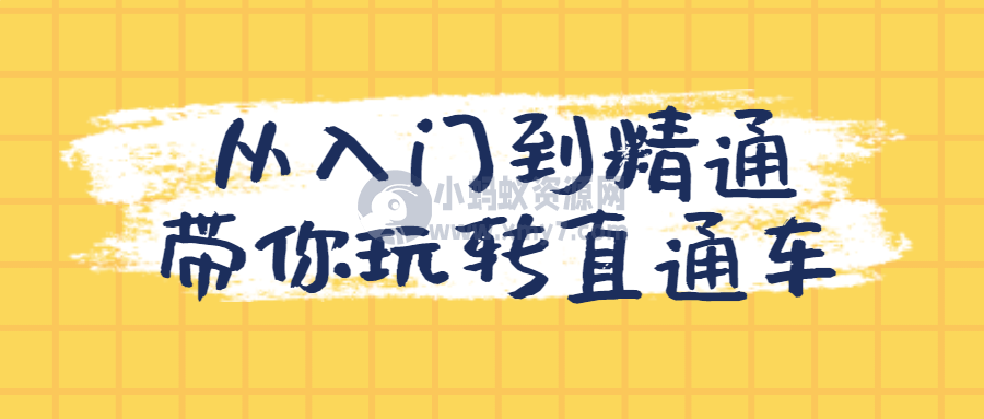 从入门到精通带你玩转直通车