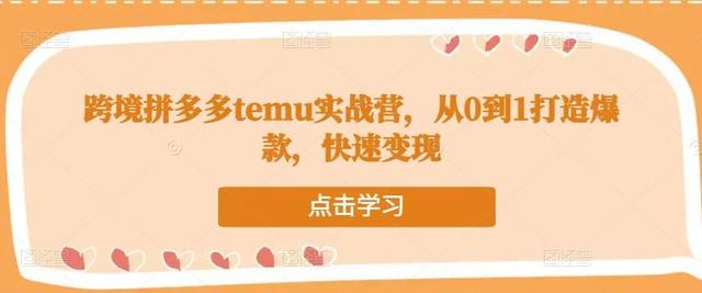 跨境拼多多temu实战营,从0到1打造爆款,快速变现