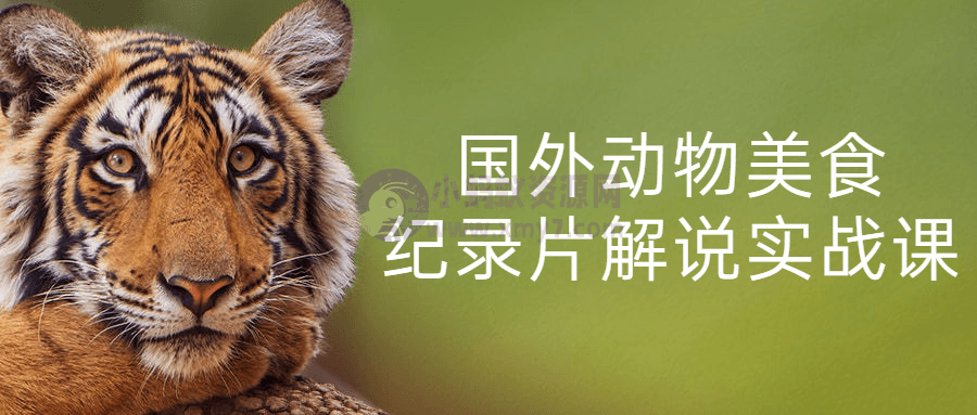 国外动物美食纪录片解说实战课