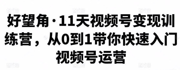 11天视频号变现训练营:从0到1带你快速入门视频号运营