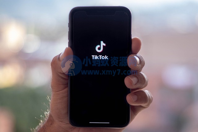 消息称 TikTok 正测试 AI 聊天机器人“Tako”，帮助用户发现更多有趣视频