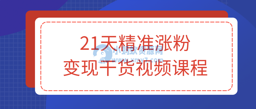 21天精准涨粉变现干货视频课程
