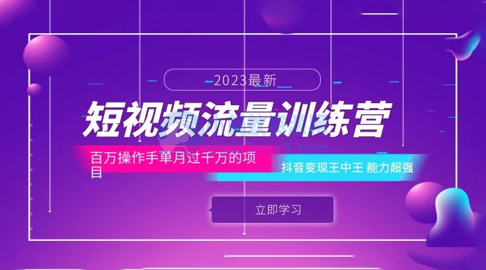 短视频流量训练营：百万操作手，抖音变现王中王，能力超强
