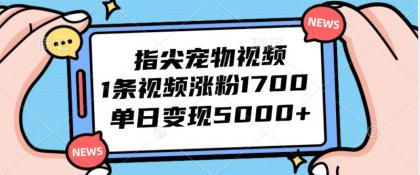 指尖宠物视频,1条视频涨粉1700,单日变现5000+-免费资源网-第16张图片 指尖宠物视频,1条视频涨粉1700,单日变现5000+-免费资源网-第16张图片