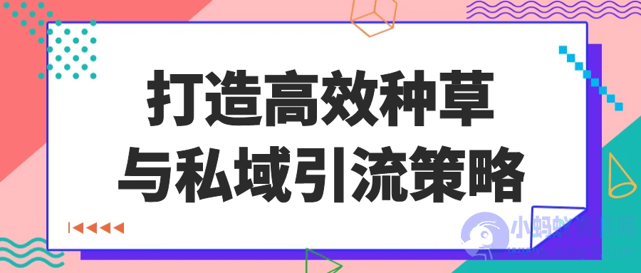 打造高效种草与私域引流策略