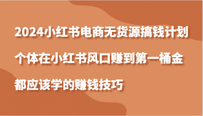 小红书电商无货源搞钱计划，个体在小红书风口赚到第一桶金应该学的赚钱技巧-免费资源网-第16张图片