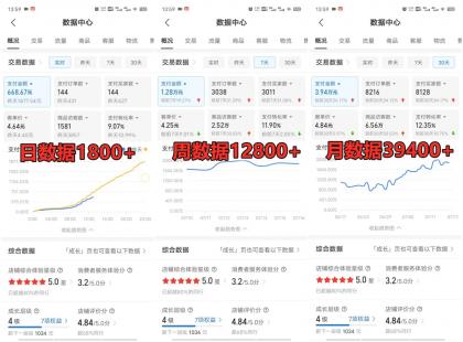 拼多多虚拟店铺项目，电脑挂机自动发货，单店日利润300+-免费资源网-第18张图片
